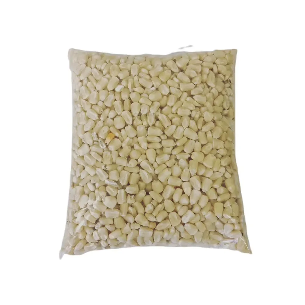 Dried Yellow Corn Popcorn White Corn Maize  White Maize  Corn (NON GMO) for Human Consumption