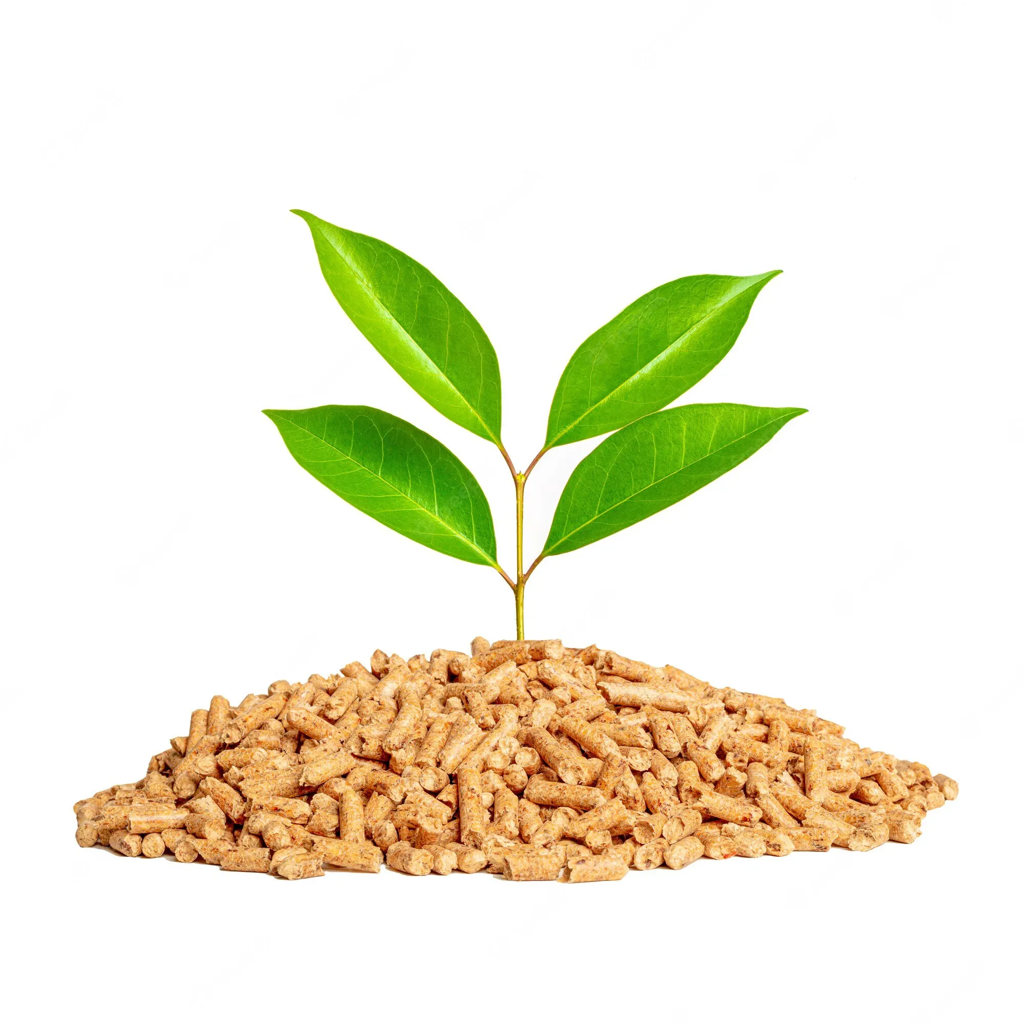 Wood Pellets 15kgs Bags Biomass From Thailand Factory Best Of Quality