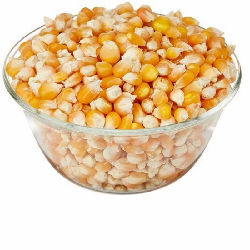 Fast Shipping Grade 2 Yellow Corn Maize for Human and Animal Feed Grade Consumption Top Selling Which Shelf Life 2 Years