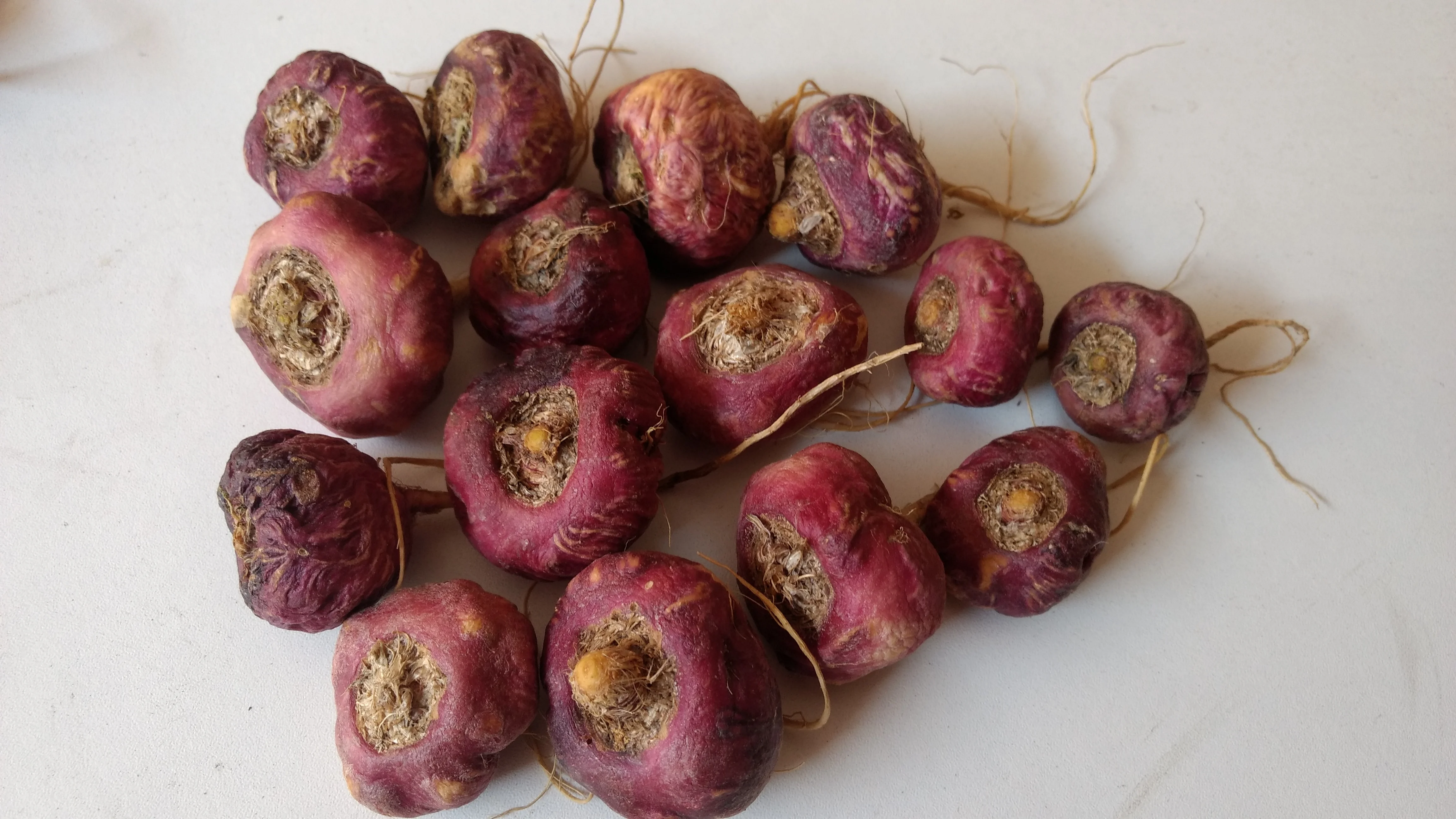 Best Red Maca Powder 100% Peruvian Superfoods for Health Food