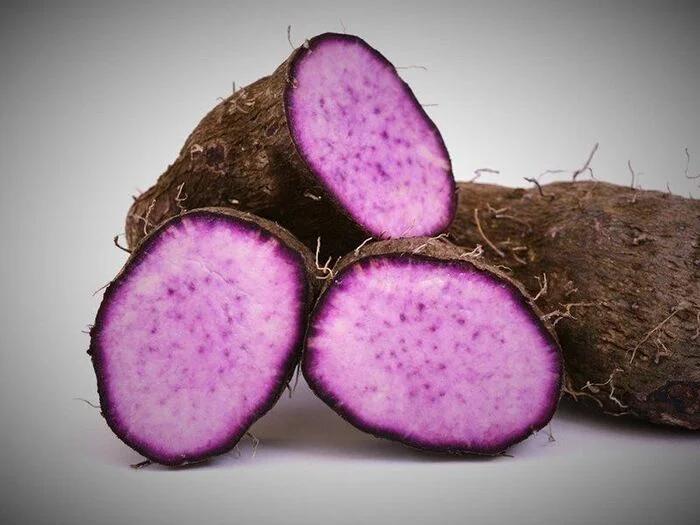 ORGANIC PURPLE YAM POWDER / NUTRITIOUS and VIBRANT COLOR / MADE in VIETNAM