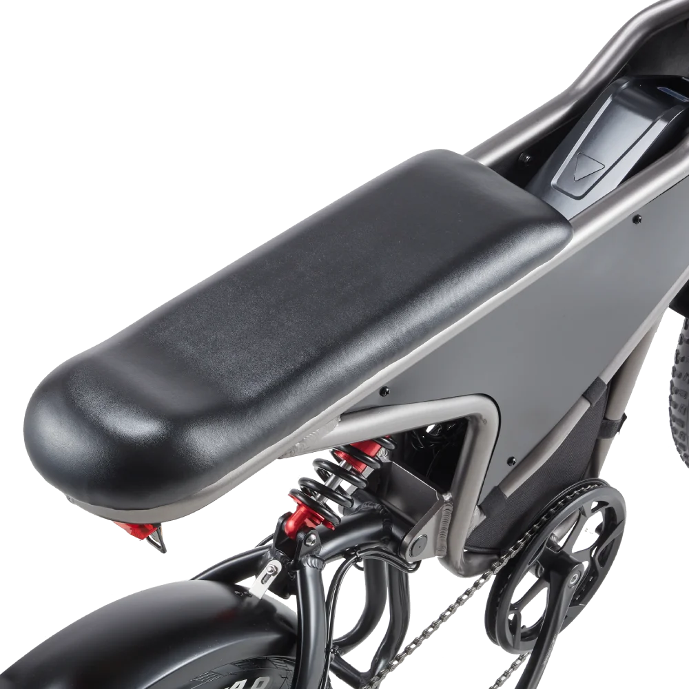 RANDRIDE DM711 Electric Motorcycle Dual Motor Drive 1000W*2 Peak Power for City Commuting