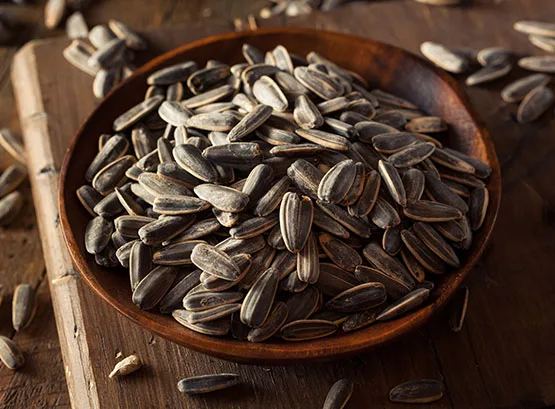 Южная Африка Non GMO гибридные Мега объемные семена подсолнечника большого