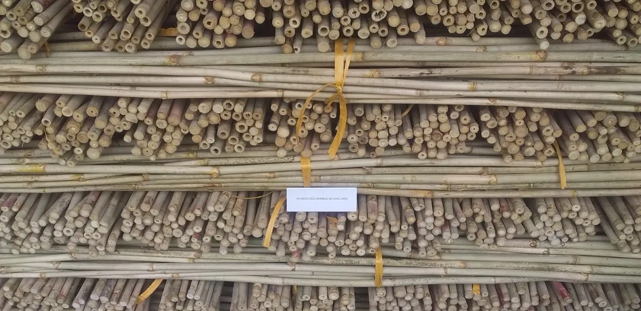 Bamboo Poles Treated Nature Raw Bamboo Straight Pole Bamboo From ...