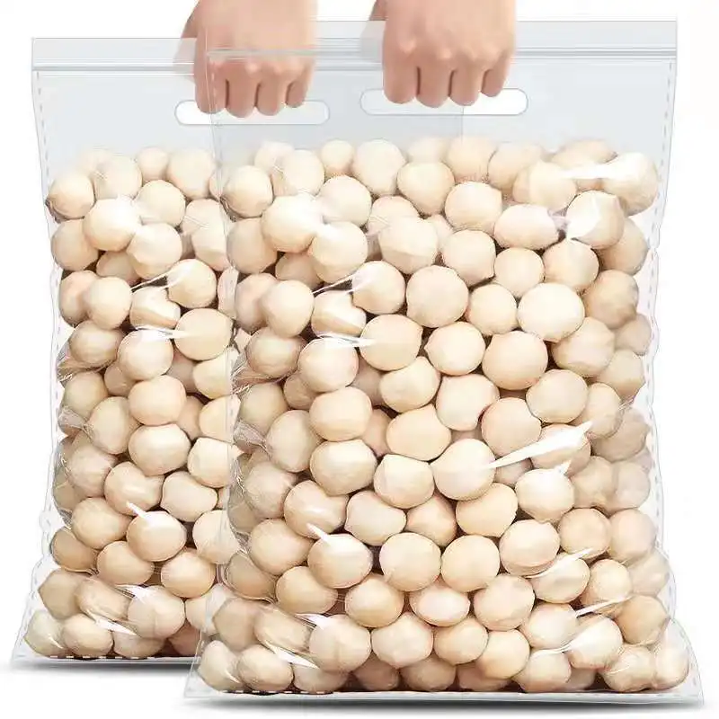 Hot Sales Inshell Macadamia Nuts Macadamia Nuts Raw Macadamia Nuts Dried