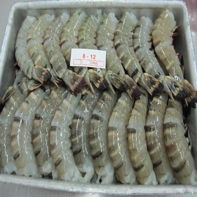 Fresh Frozen Vannamei Shrimp For Sale Buy Shrimps Shrimp Frozen Anna