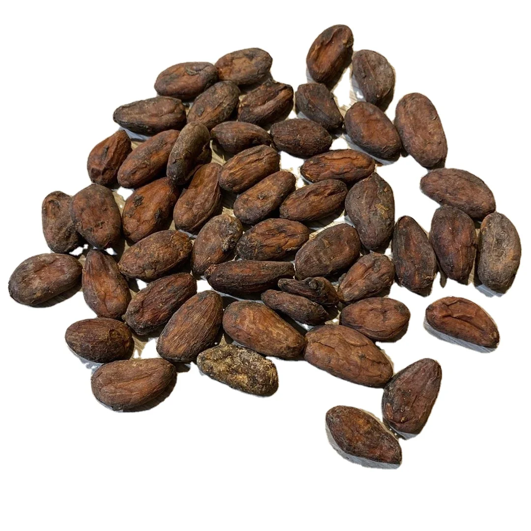 Цены на какао бобы. Криолло какао Бобы. Какао орех. Какао Бобы орехи. Необработанные какао Бобы.