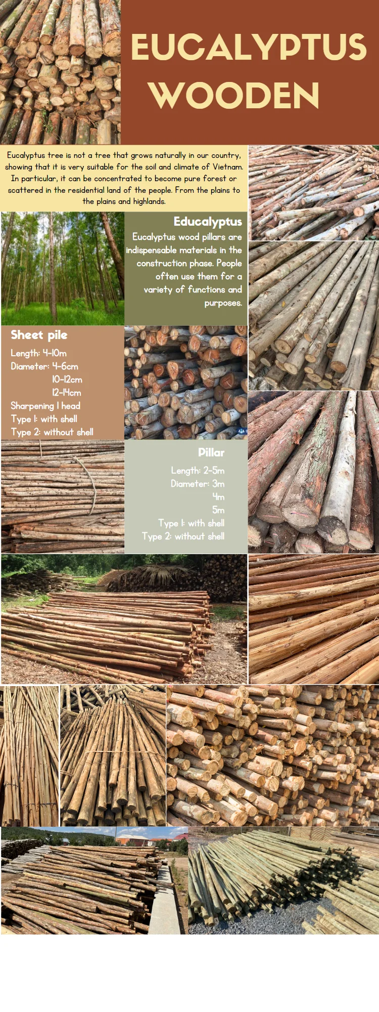 Eucalyptus Piles Used In Construction Wood Piles Of Various Sizes