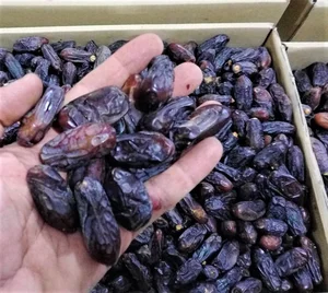 Dry Fruits From Saudi Mozafati/Kabkab/Sayer/Zahedi/Piarom/Gulf Dates in Good Price From Supplier..