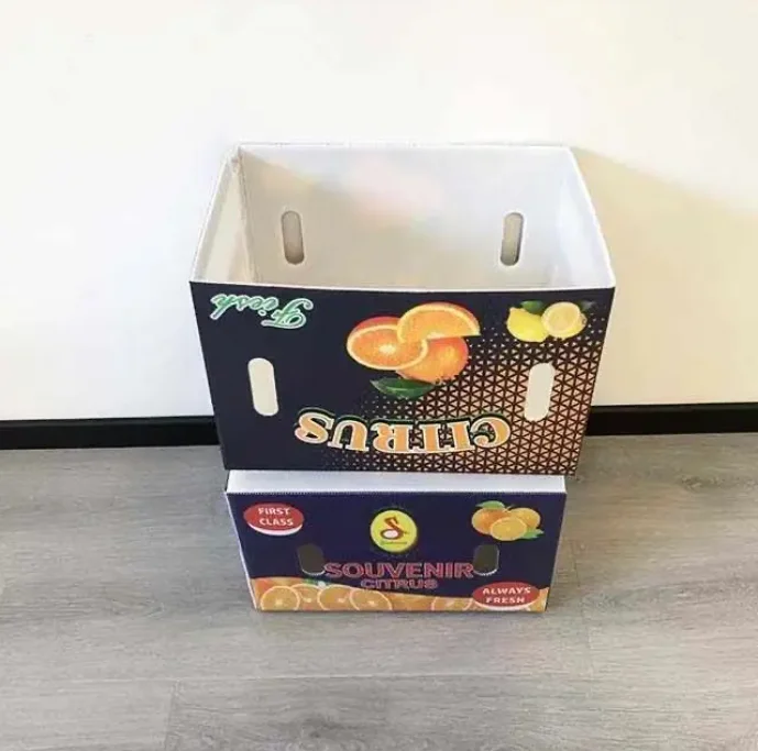 Custom Printed Corrugated Cardboard, Red Dates, Tomatoes, Fresh Vegetables, Fruits, Packaging, Transportation Carton