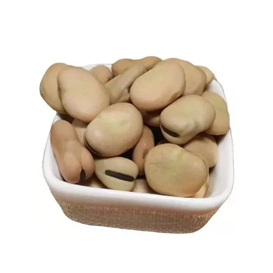 HIGH QUALITY ETHIOPIAN FABA / Fave BEANS BROAD BEANS horse beans FOR SALE