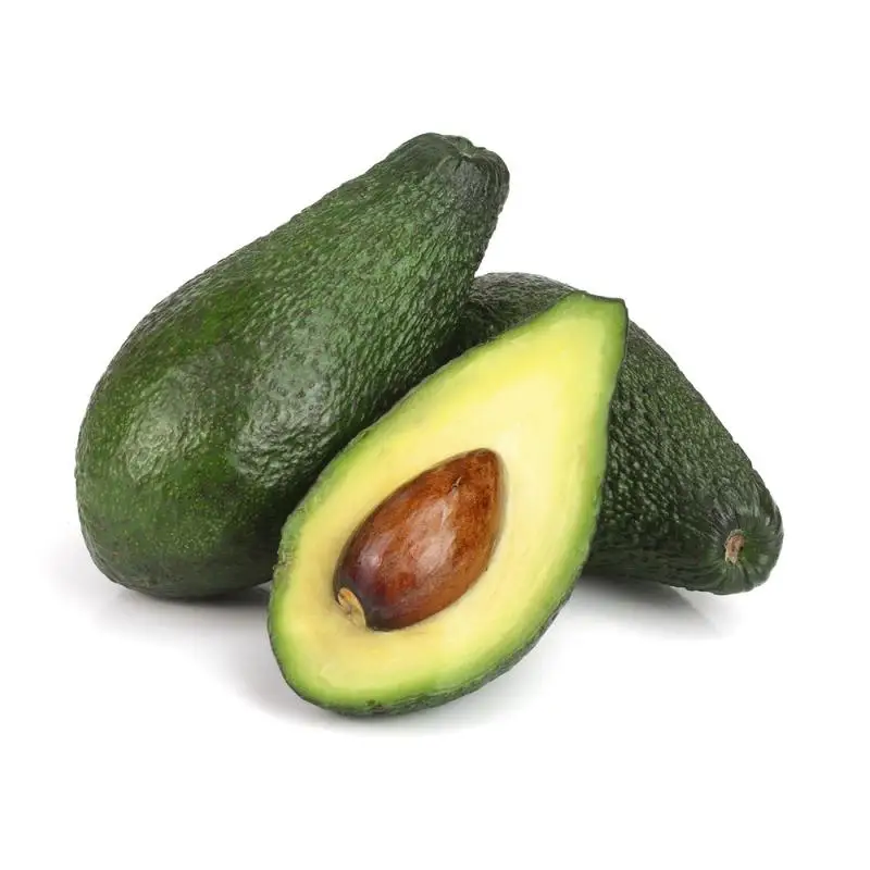 Super Fresh Quality Avocado From Vietnam For Sale / Wholesale Price ...