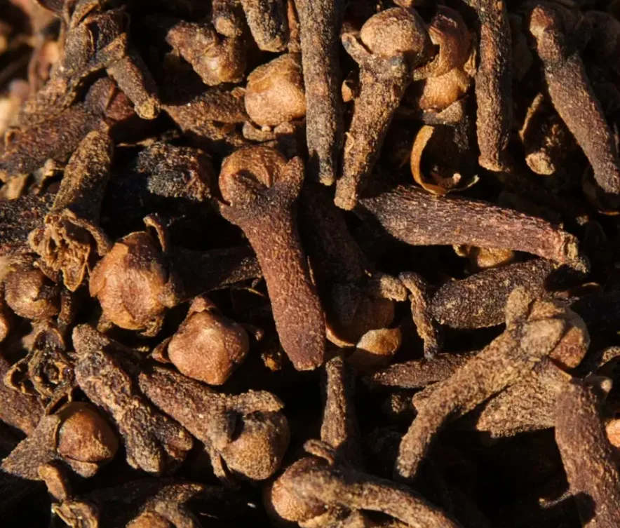 Best Quality 100% Pure  Dried Cloves Ready For Export