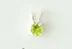 Peridoto