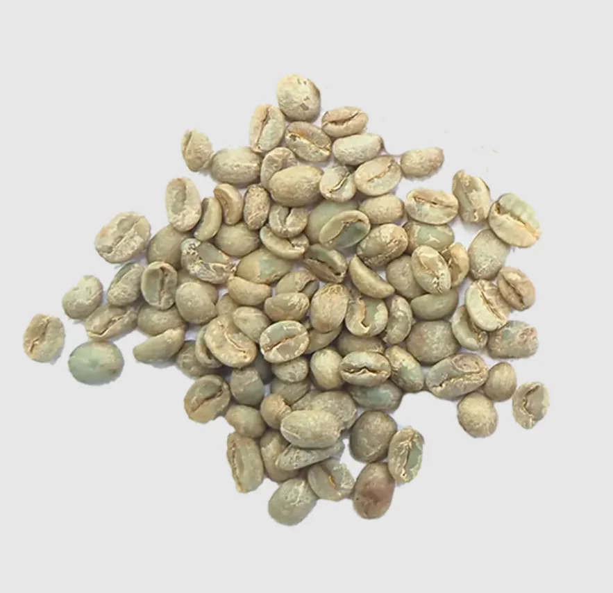 Top Quality USA Bulk Quantity Robusta Coffee and arabica coffee beans roasted In Factory Price