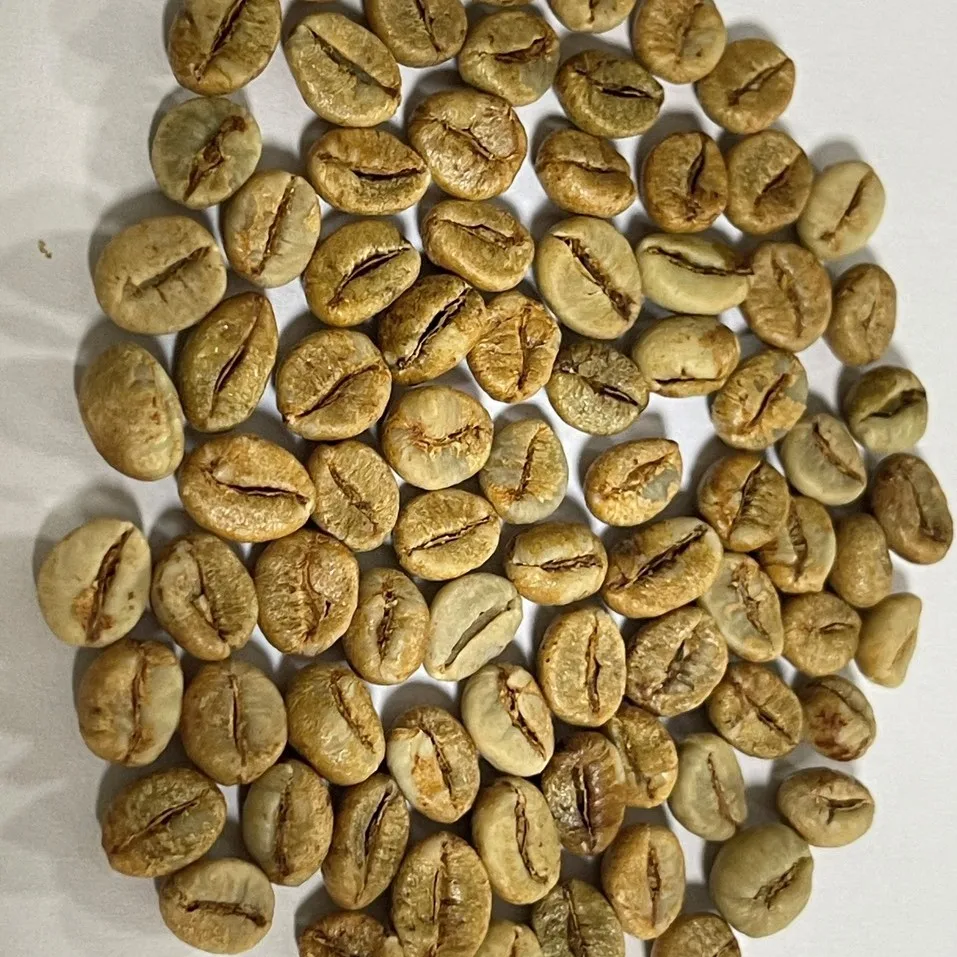 Robusta Coffee Beans 18 обжаренные кофейные бобы Vietnam дешевые оптом для