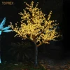 Albero di ciliegio giallo (H: 3,5 L: 2,3 M)