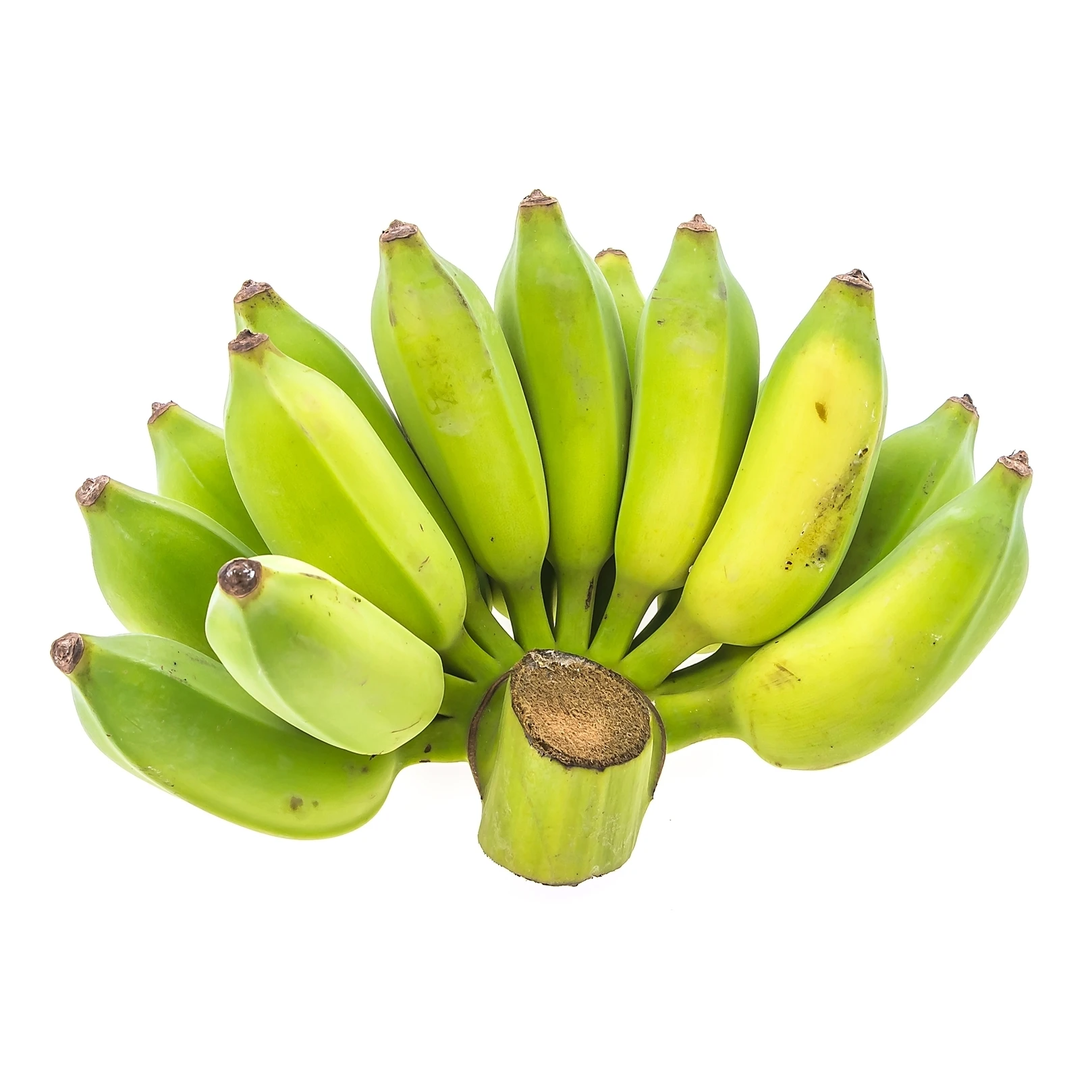 Fresh Organic Cavendish Banana/Crop Green Tropical Banana 100% Pure Soft-Sweet Taste Cooking Use