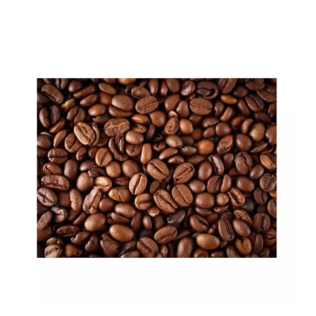 Wholesale Brazilian High Quality Green Beans Coffee With Best Price For