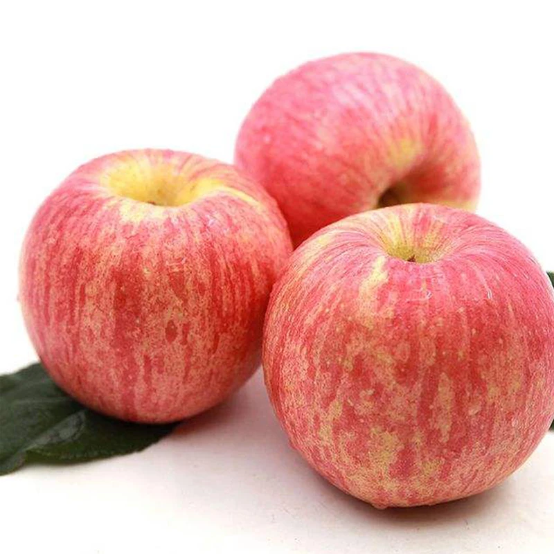 fresh Apple 11.jpg