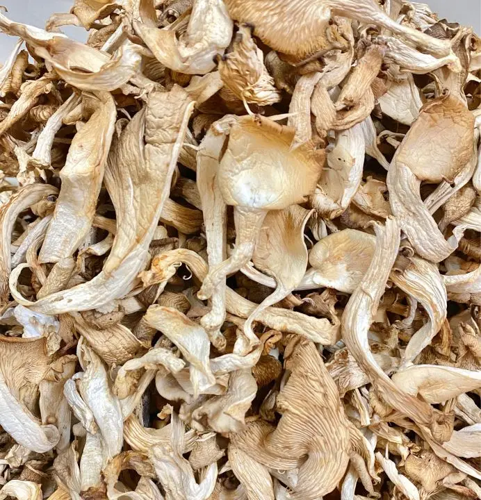 Wholesale Dried Oyster Mushroom With Competitive Price From Vietnam
