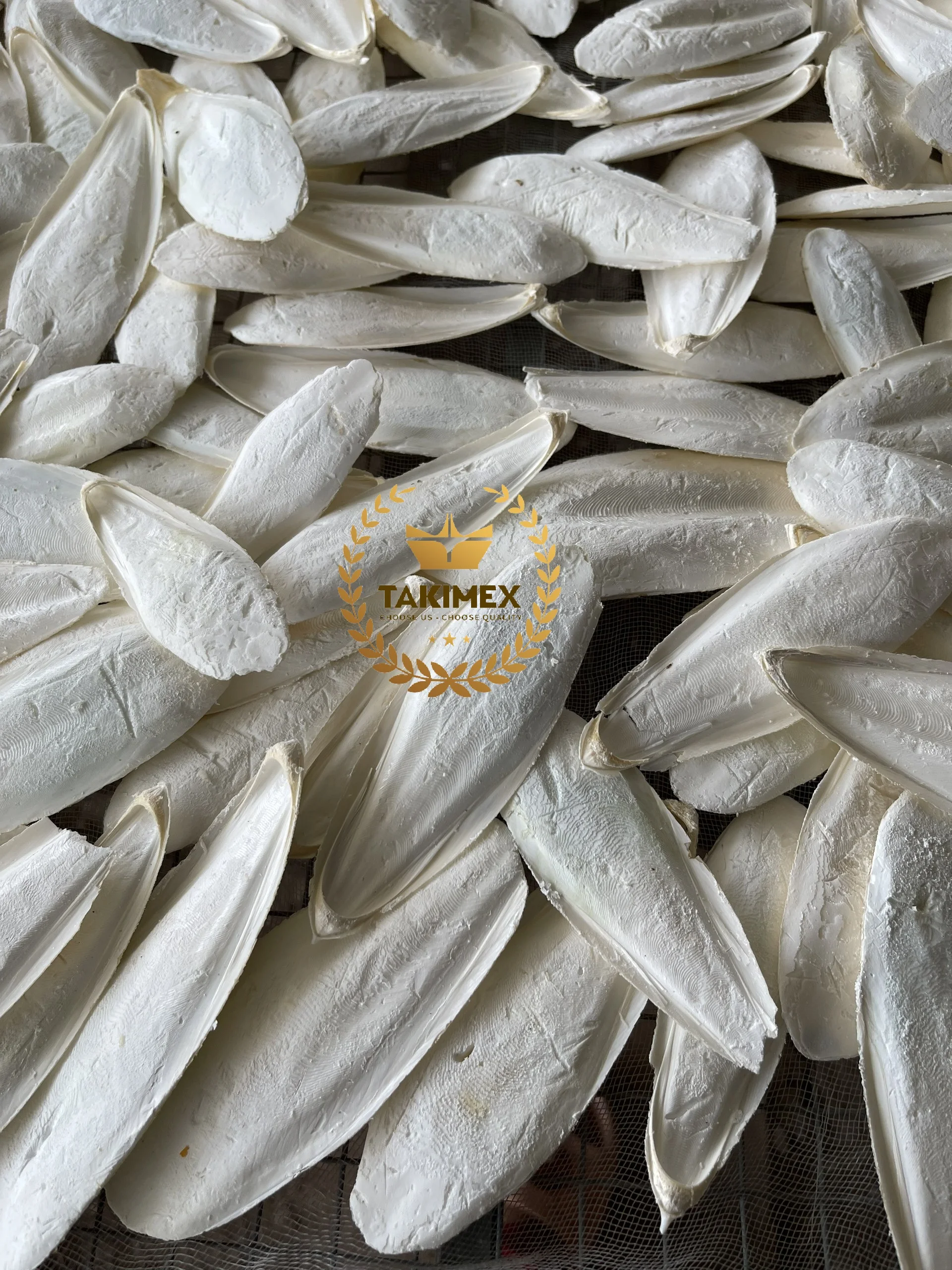 High Quality Dry Cuttlefish Bone Cuttlebone Os De Seiche Cuttle Fish