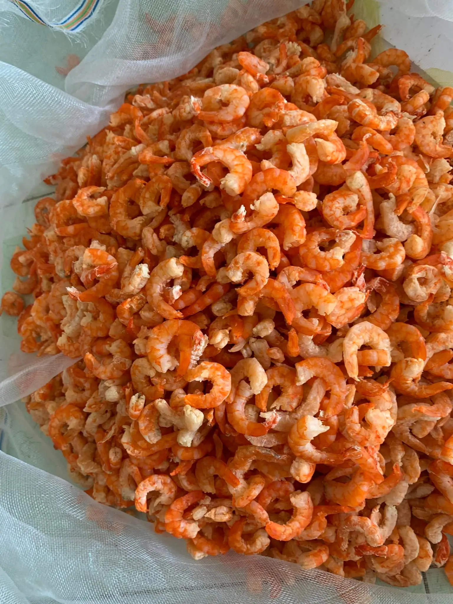 Top Quality Roasted Seafood 100 Raw Shrimp Best Seller Dried Shrimp