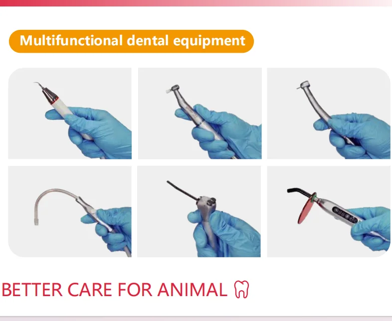 Veterinary Dental Workstation FC6 - Animal Tooth Polishing