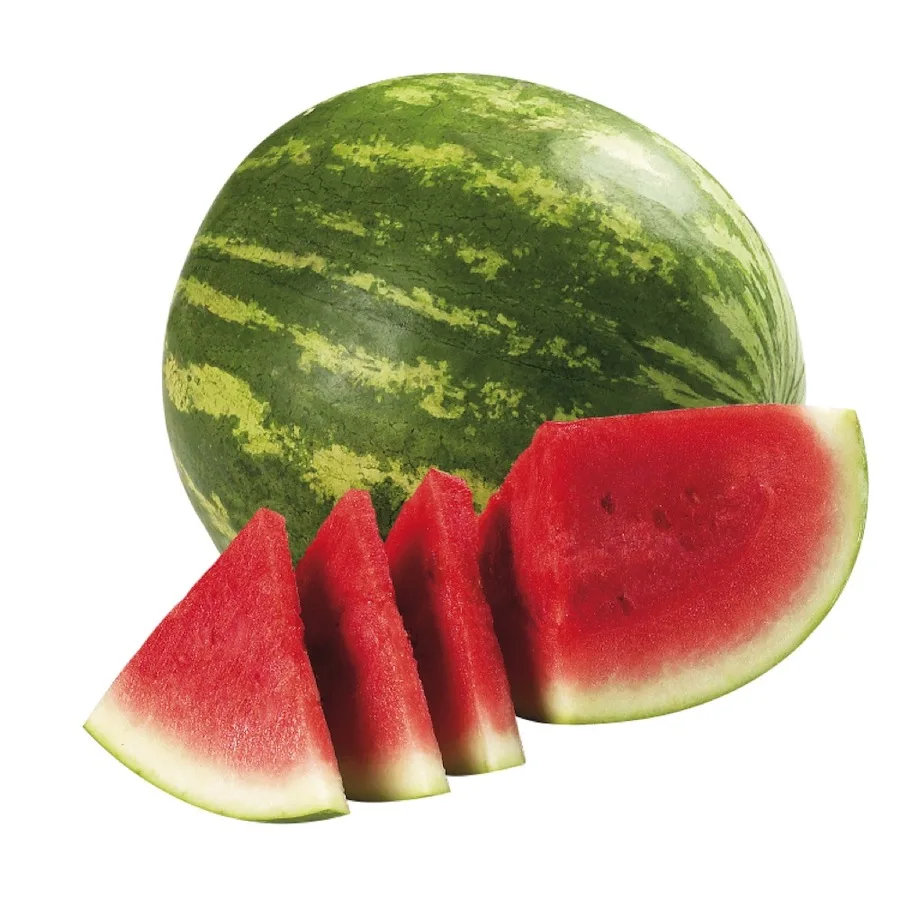 High Quality Fresh watermelon Best Price