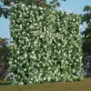 #6 verde