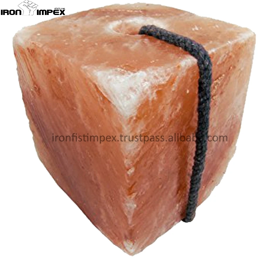 Pakistan Horse Cattle Dog Himalayan Animal Licking Himalayan Salt With