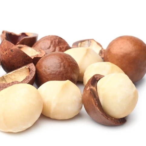 Austria a Grade Organic Macadamia Nuts Roasted and Dried White and Black 15-20kg Raw Macadamia Nut Bag Packaging for Food Use