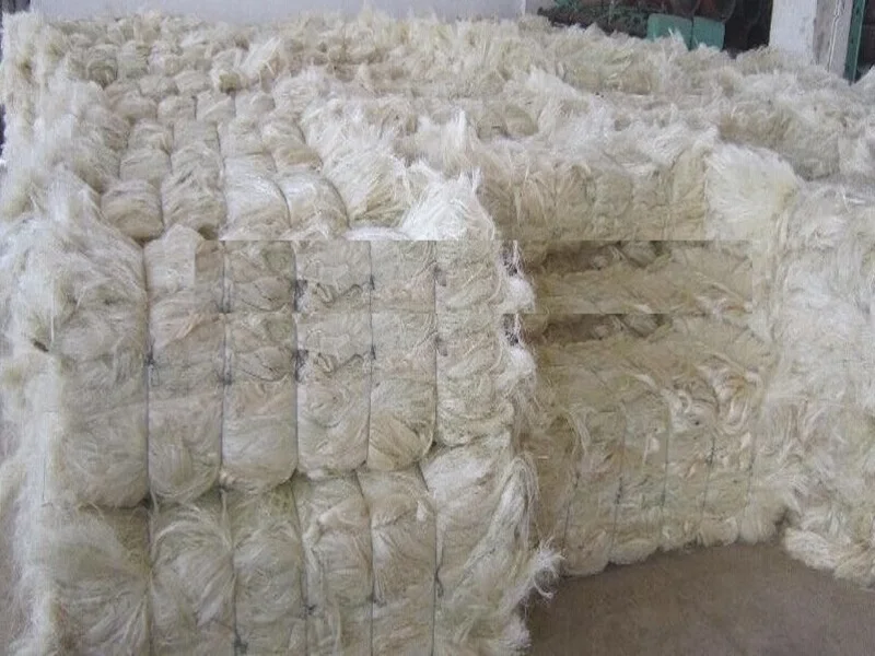 High Quality Cheap UG and SSUG Natural sisal fiber Ready for Export