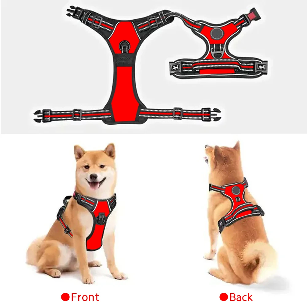 Custom Designer Dog Harness Set Soft Padded Pet Collar Premium Dog