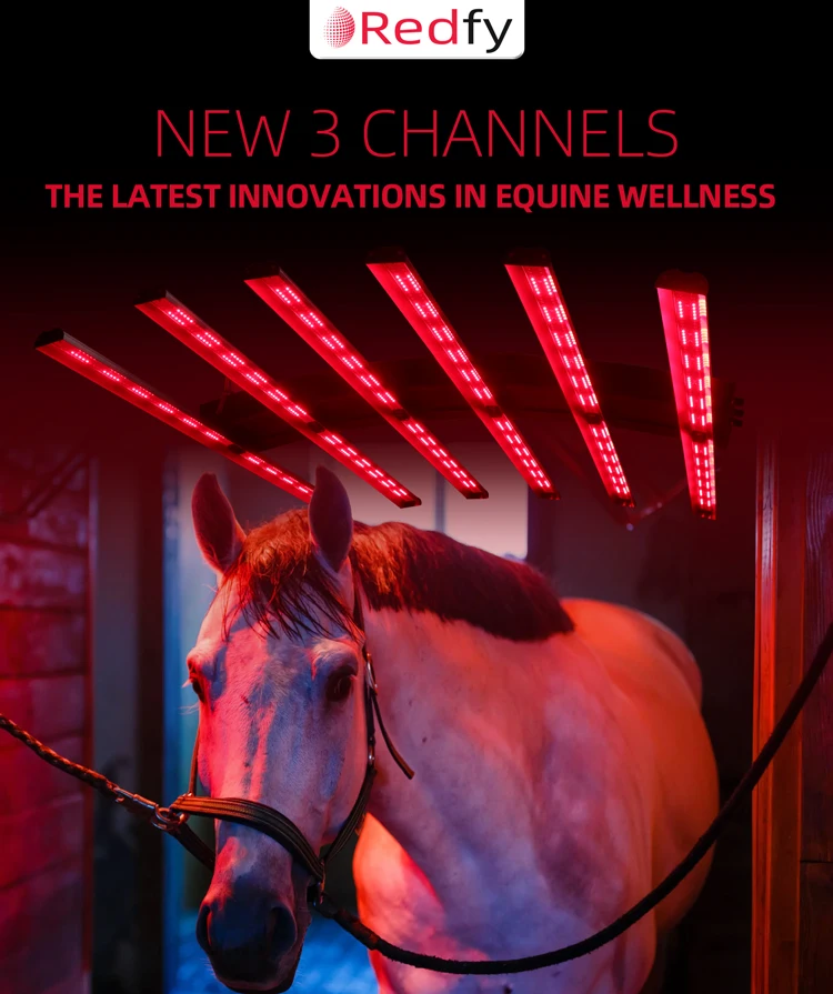 Redfy Barn Use Infrared Led Equine Solarium Device Full Body Treatment