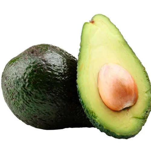 Fresh Avocado with Global Certifications Exporter