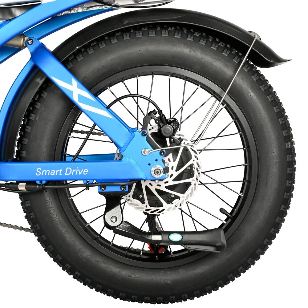 [EU DIRECT] BAOLUJIE DP2033 Electric Bike 48V 30AH Battery 1000W Motor 20inch Tires 90-100KM Max Mileage 120KG Max Load Electric