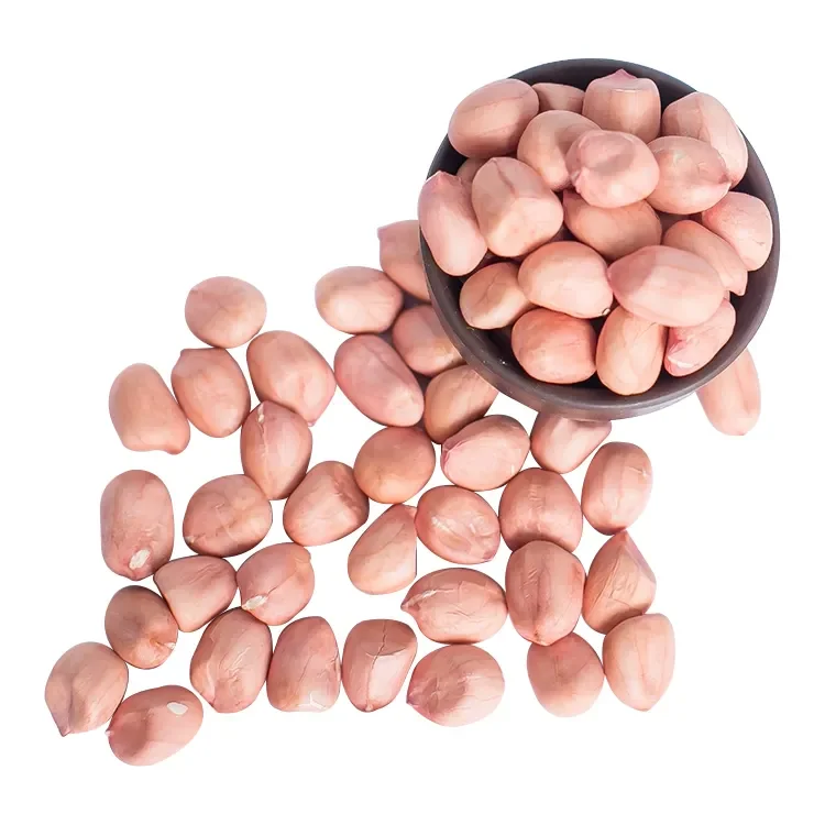 Wholesale German Best Quality Raw Dried Kernel Peanuts No Shell Bulk Packaging Gift Option