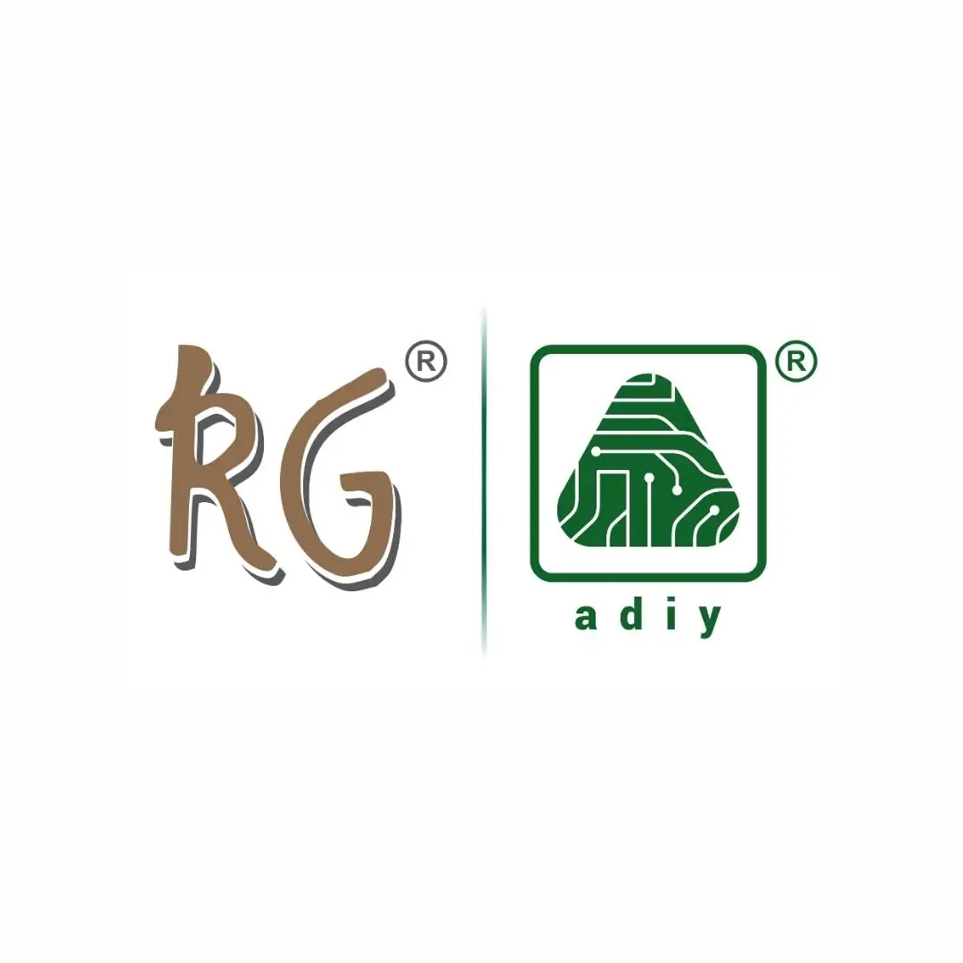 company-overview-rajguru-electronics-i-private-limited