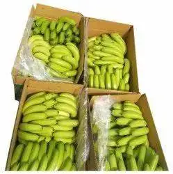 High Quality Fresh Bananas for Sale Export Quality