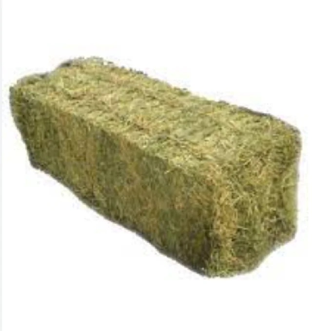 Bulk ALFAFA HAY READY for SUPPLY/ Alfalfa hay with High Protein for Animal Feeding in Bulk