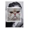 Cat face 3