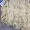 blonde