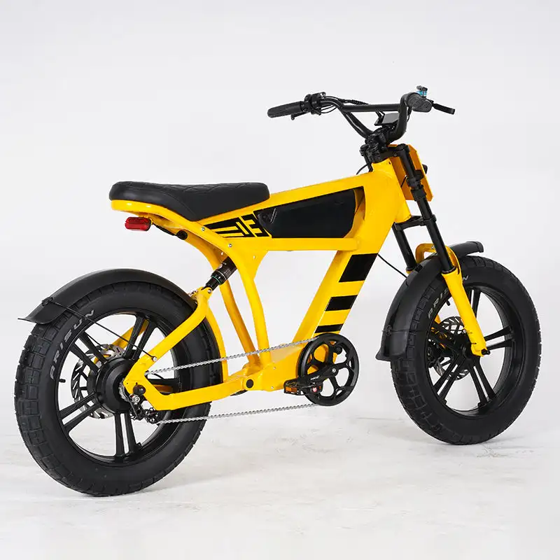 Mangosteen Student Ebike FT03 Best Bicycle College Students Central Rear Hub Motor Integrated Battery 60 km Range Electronic