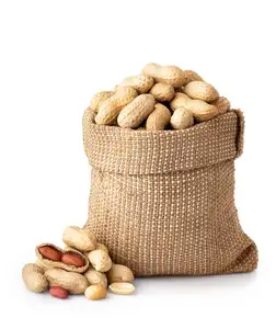 High Quality Organic Peanut Kernels Fresh Raw Peanuts Wholesale at Best Price