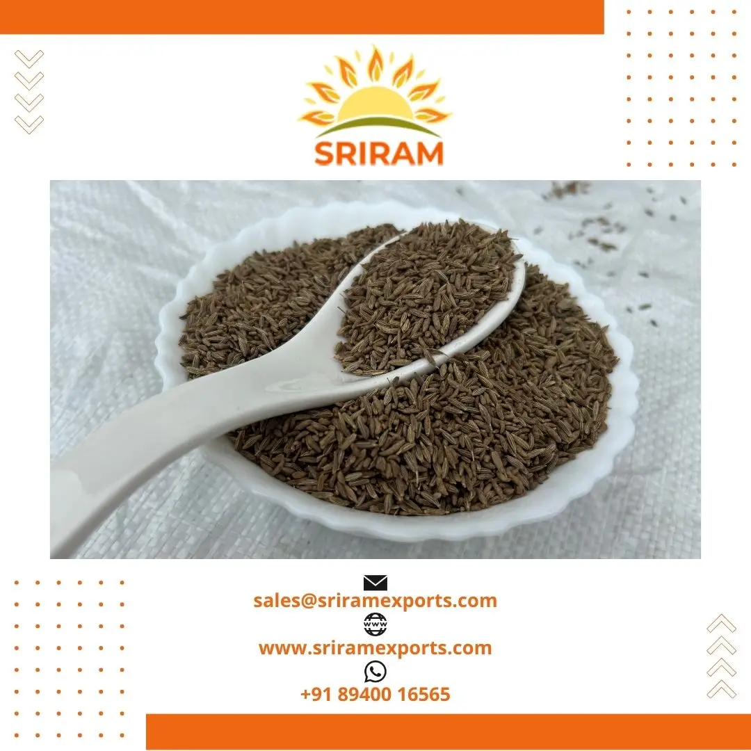 Huge Demand Cumin Seeds For Seasoning At 98% Purity In Genuine Quality ...