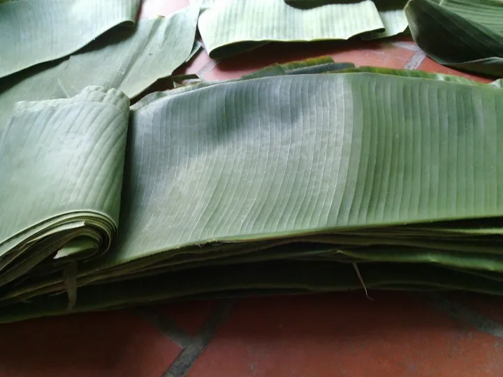 Bioleaf Cheap Bioleaf Banana Leaf Disposable- Banana Leaf Export In Viet Nam ...