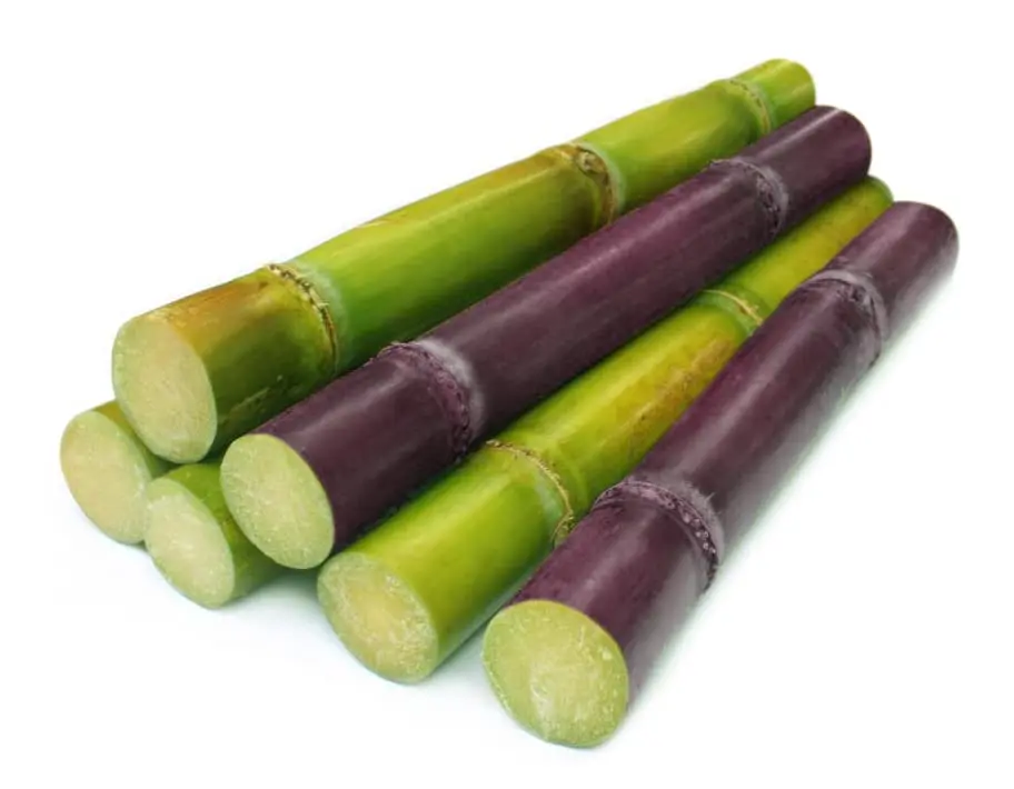 Canned Sugar Cane In Syrup Immersed In Syrup Which Brings A