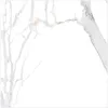 Statuario Quartzite