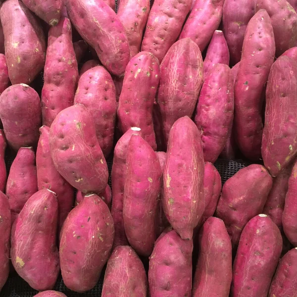Premium Quality Organic Fresh Sweet Potatoes